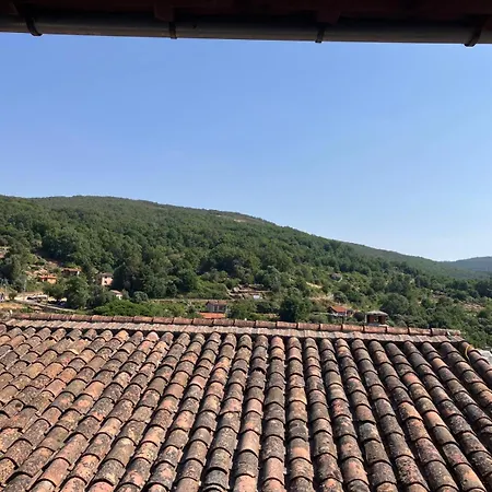 Nietos De Pura San Martín del Castañar